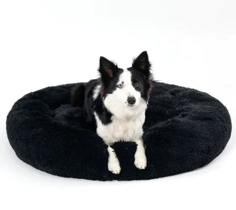 Dreamy Donut Pet Bed